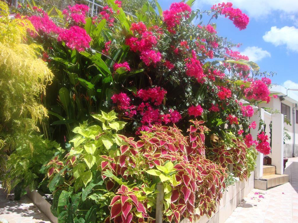 Residence Madelia Port-Louis Exterior foto